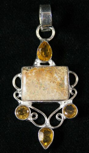 Fossil Coral Sunburst Pendant #16035